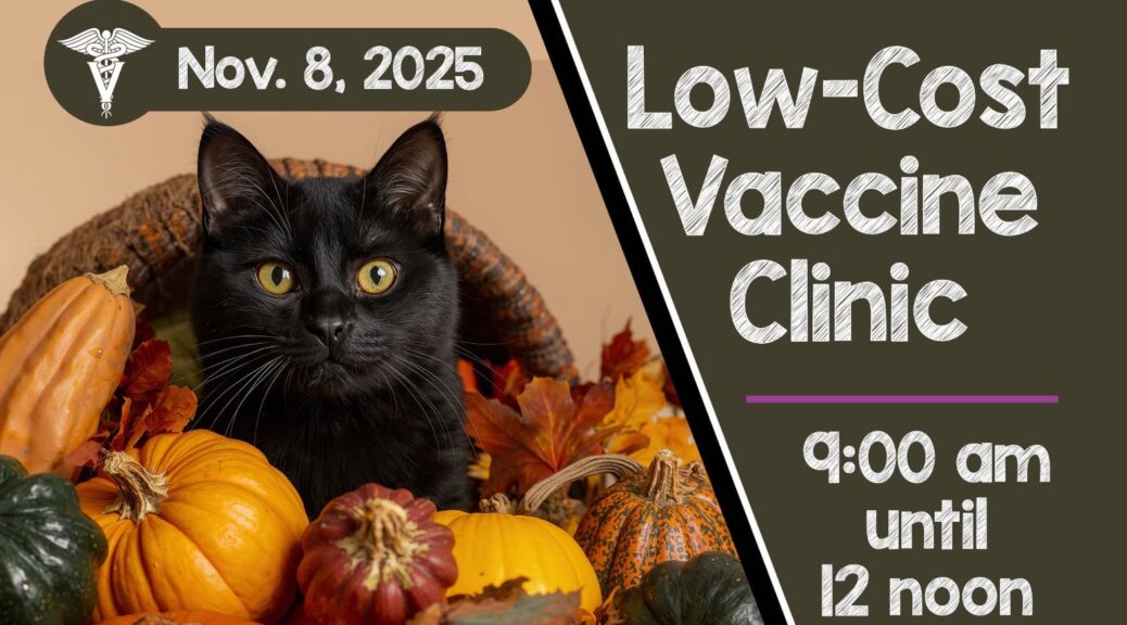 Low-cost Vaccine Clinic