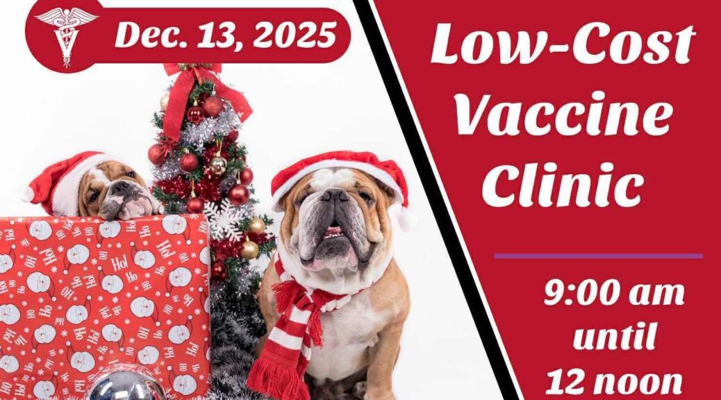 December Vaccine Clinic