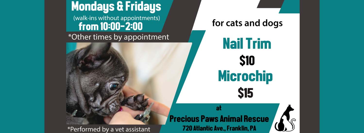 Nail Trim and Microchip Walk-Ins