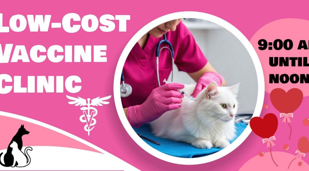 Precious-Paws-February 2026 Low Cost Vaccine Clinic